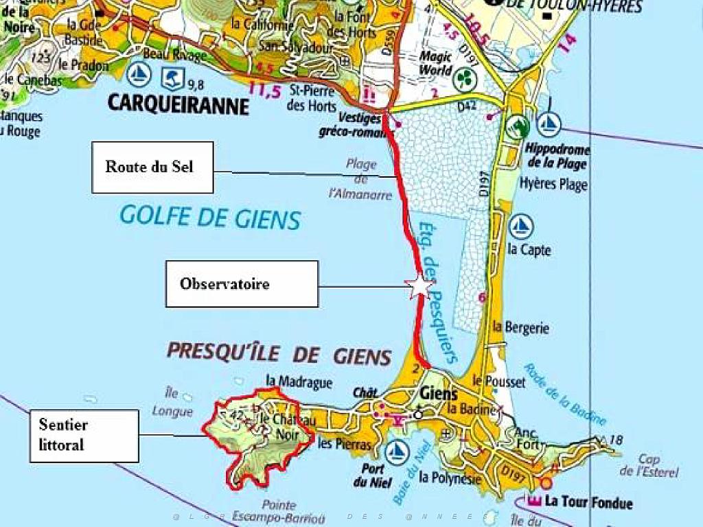 183 D18 PRESQU ILE DE GIENS 1_000002.jpg